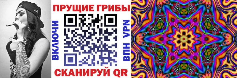Галлюциногенные грибы прущие грибы Тихорецк